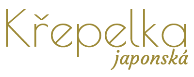 KŘEPELKA JAPONSKÁ